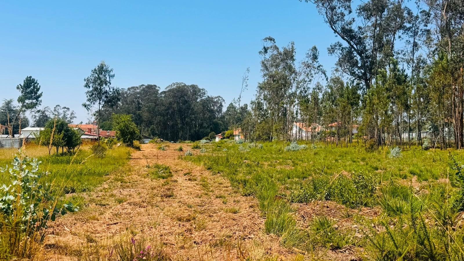 Terreno Para Construção  Venda em São Miguel do Souto e Mosteirô,Santa Maria da Feira