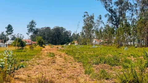 Terreno Para Construção  Venda em São Miguel do Souto e Mosteirô,Santa Maria da Feira