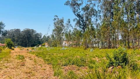 Terreno Para Construção  Venda em São Miguel do Souto e Mosteirô,Santa Maria da Feira