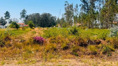 Terreno Para Construção  Venda em São Miguel do Souto e Mosteirô,Santa Maria da Feira
