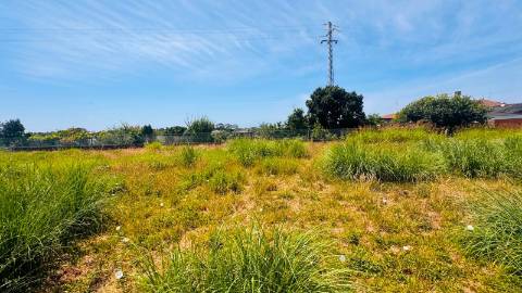 Loteamento  Venda em Esmoriz,Ovar