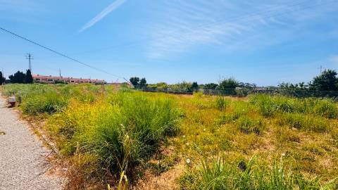 Loteamento  Venda em Esmoriz,Ovar