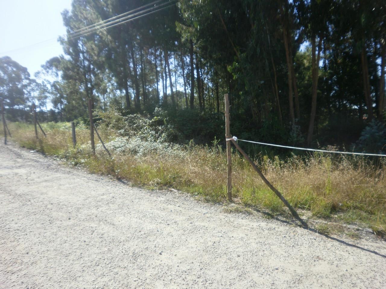 Terreno Urbano  Venda em Sandim, Olival, Lever e Crestuma,Vila Nova de Gaia