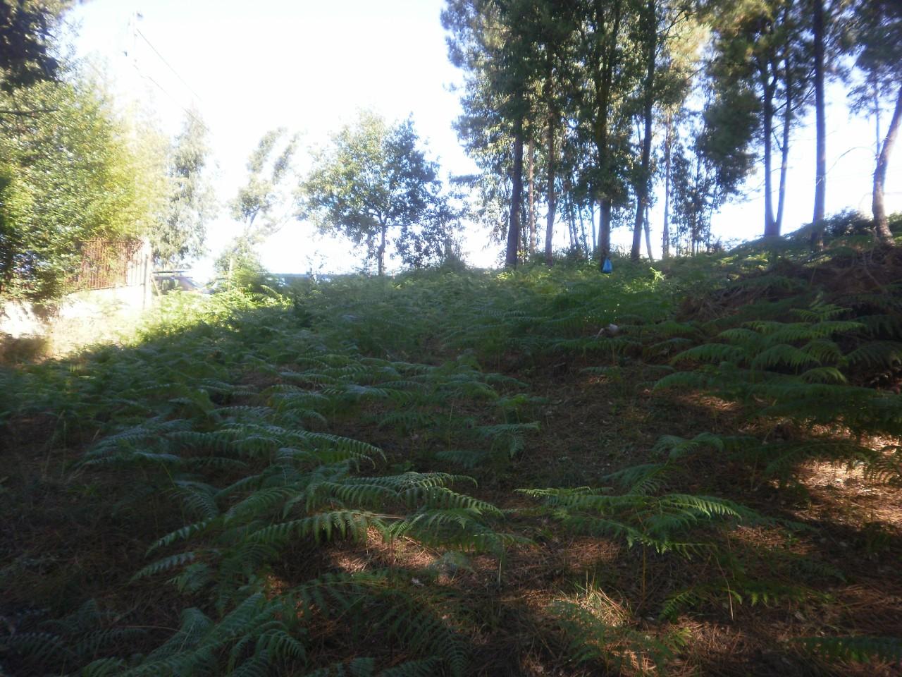Terreno Urbano  Venda em Sandim, Olival, Lever e Crestuma,Vila Nova de Gaia
