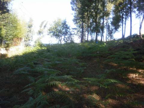 Terreno Urbano  Venda em Sandim, Olival, Lever e Crestuma,Vila Nova de Gaia