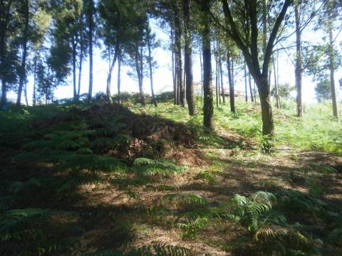 Terreno Urbano  Venda em Sandim, Olival, Lever e Crestuma,Vila Nova de Gaia