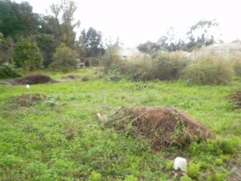 Terreno  Venda em Pedroso e Seixezelo,Vila Nova de Gaia