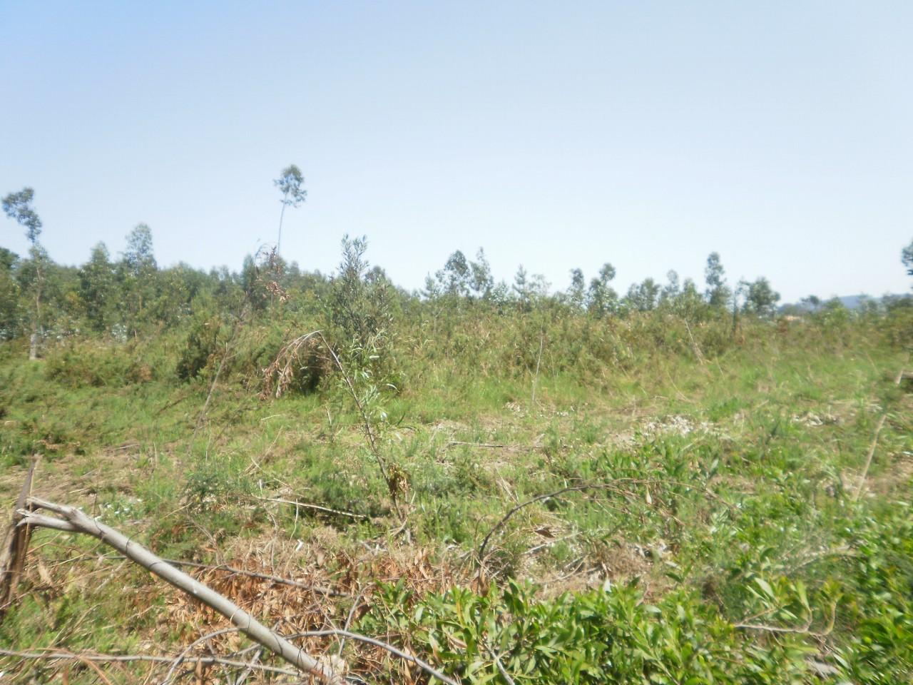 Terreno  Venda em Serzedo e Perosinho,Vila Nova de Gaia