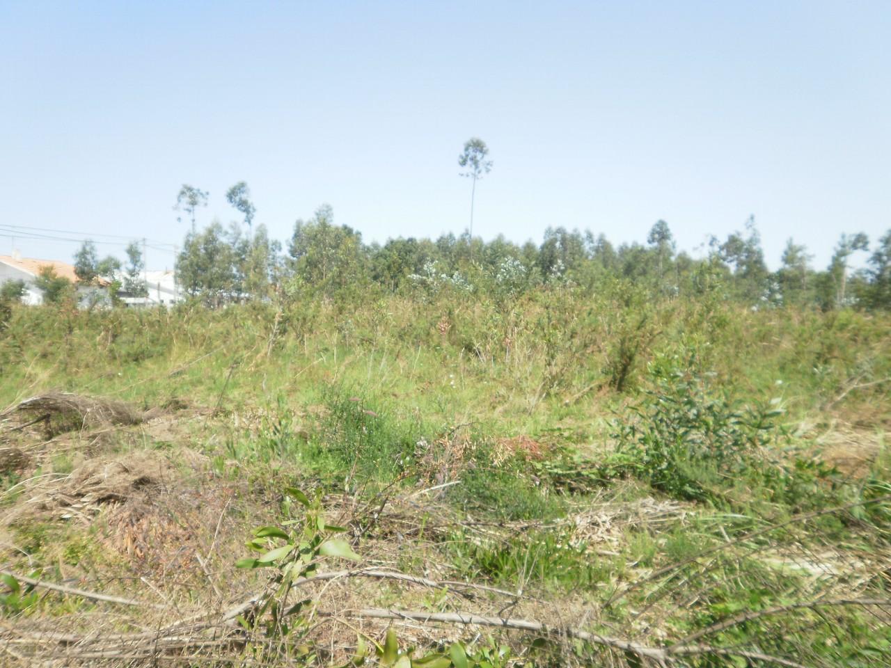 Terreno  Venda em Serzedo e Perosinho,Vila Nova de Gaia