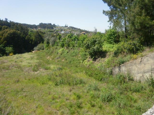 Terreno em Gaia