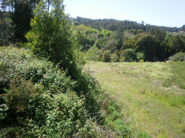 Terreno em Gaia