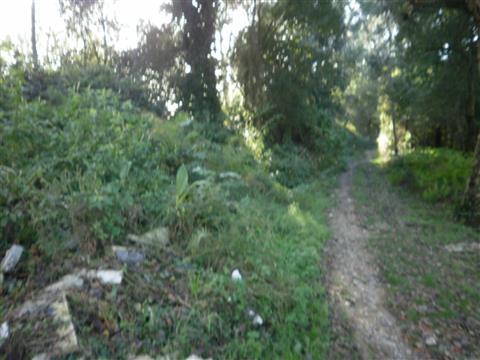 Terreno  Venda em Serzedo e Perosinho,Vila Nova de Gaia