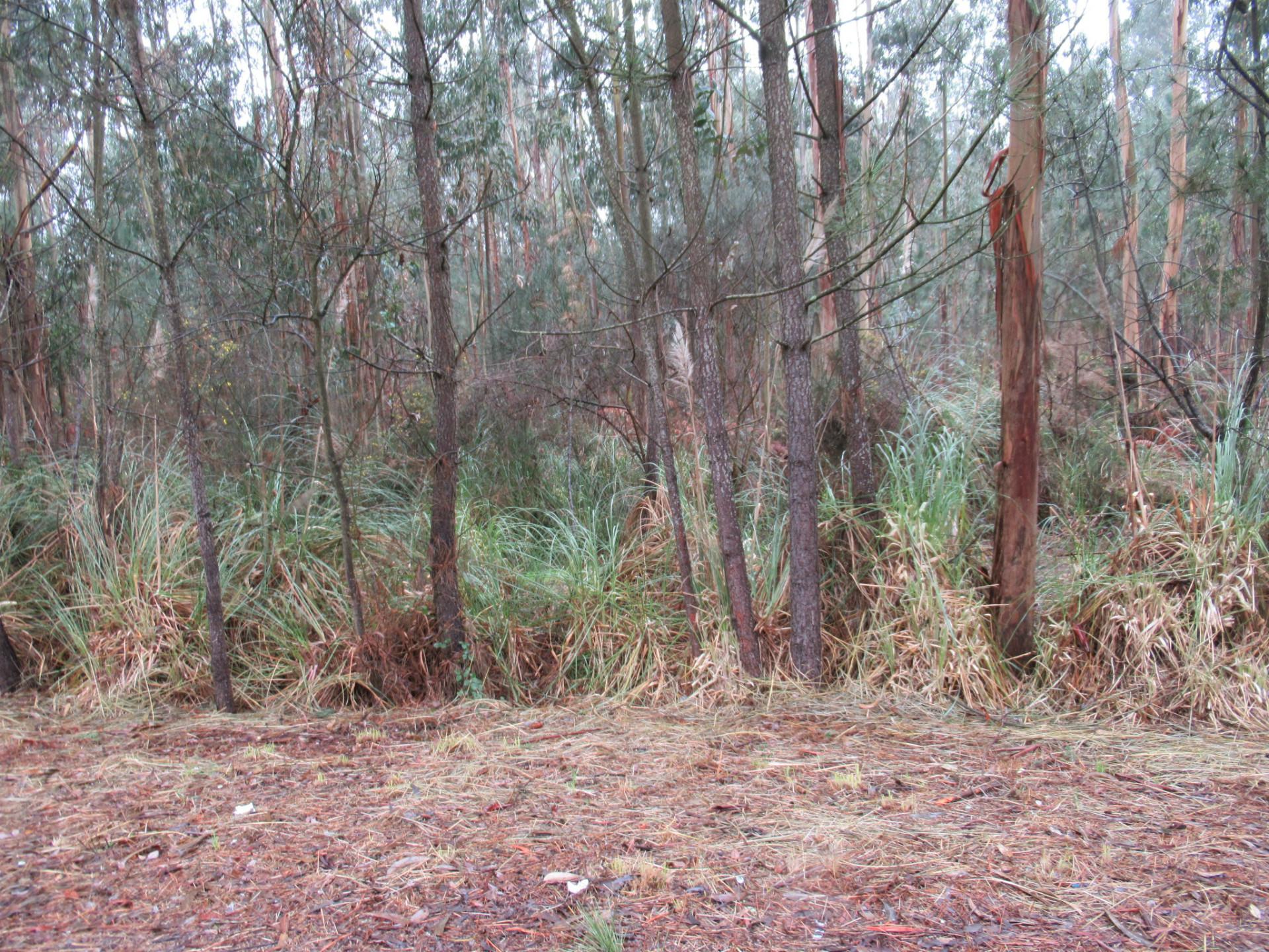 TERRENO PARA VENDA EM VILA NOVA DE GAIA