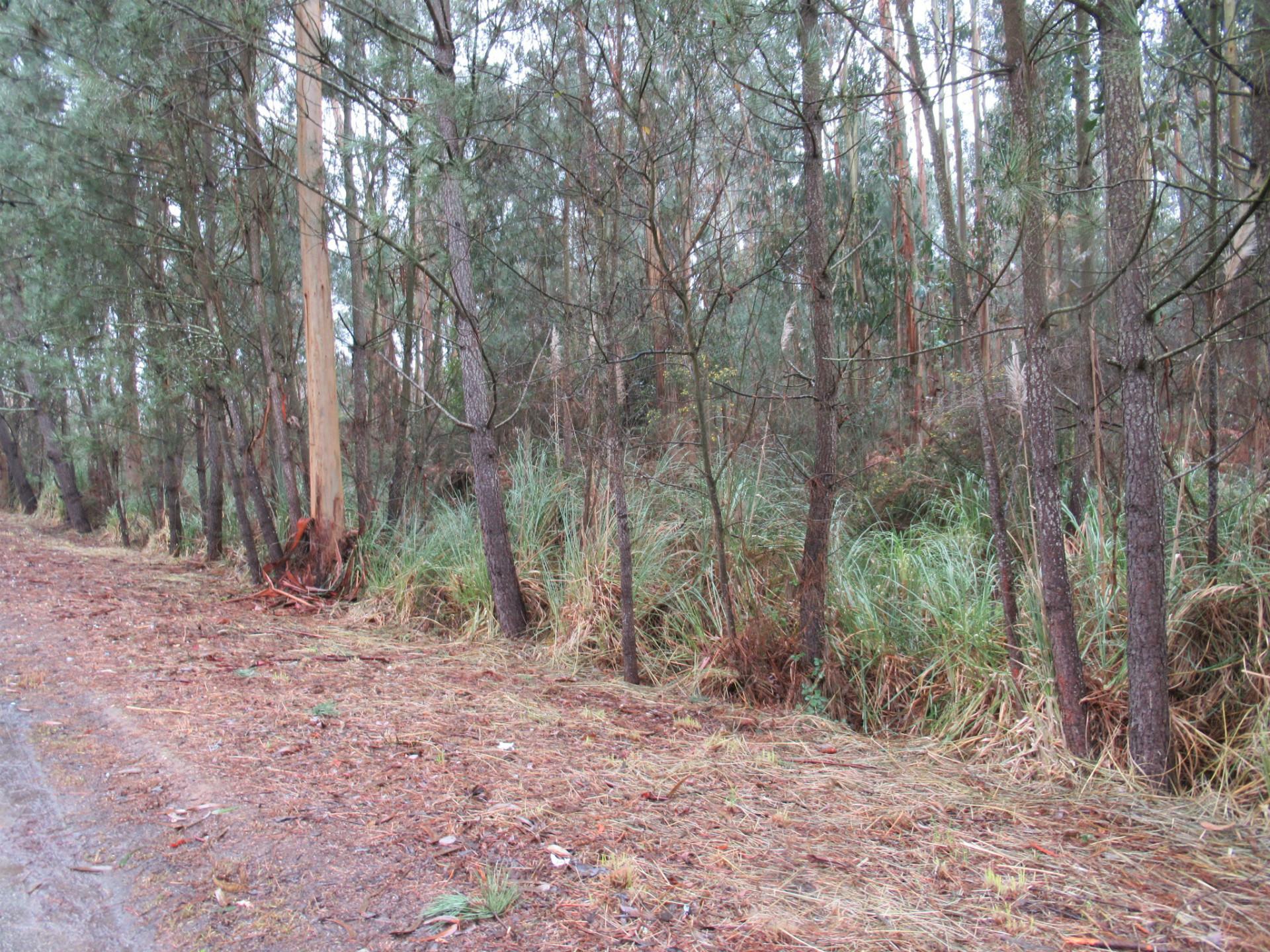 TERRENO PARA VENDA EM VILA NOVA DE GAIA