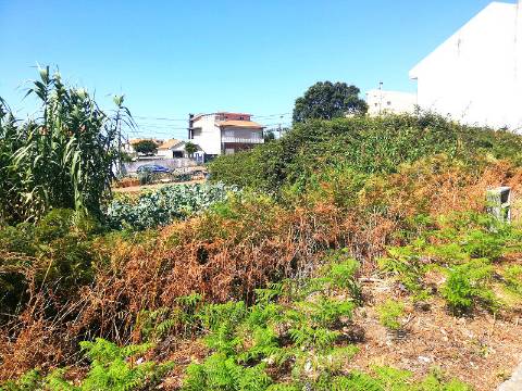 Terreno para Construção na Praia de Canidelo.