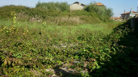 TERRENO PARA CONSTRUÇÃO EM GRIJO.