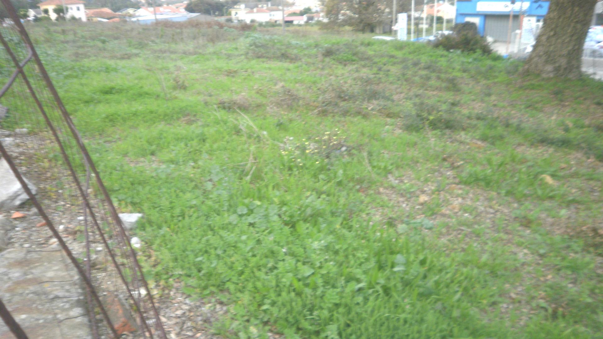 Terreno Rústico  Venda em Pedroso e Seixezelo,Vila Nova de Gaia