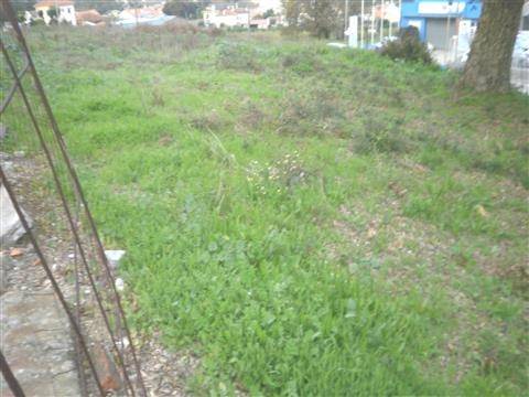 Terreno Rústico  Venda em Pedroso e Seixezelo,Vila Nova de Gaia