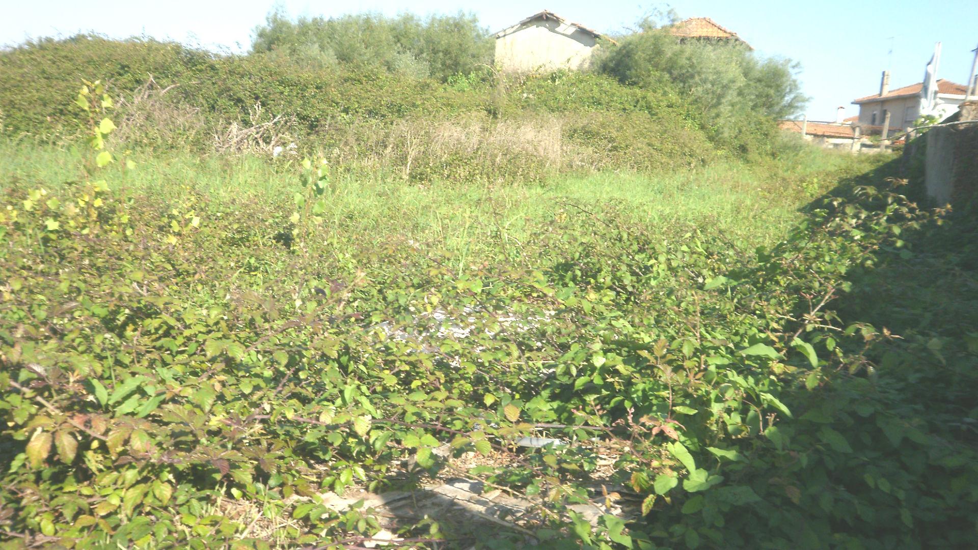 Terreno Rústico  Venda em Pedroso e Seixezelo,Vila Nova de Gaia