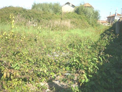 Terreno Rústico  Venda em Pedroso e Seixezelo,Vila Nova de Gaia