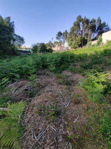 Terreno Urbanizável em Grijó