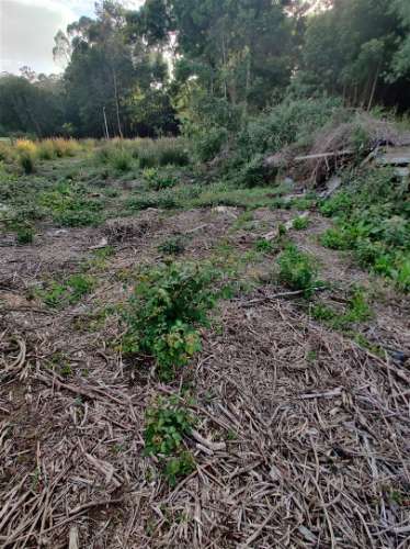 Terreno Urbanizável em Grijó