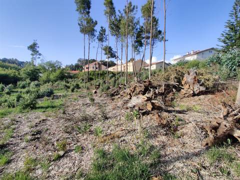 Terreno Urbanizável em Grijó