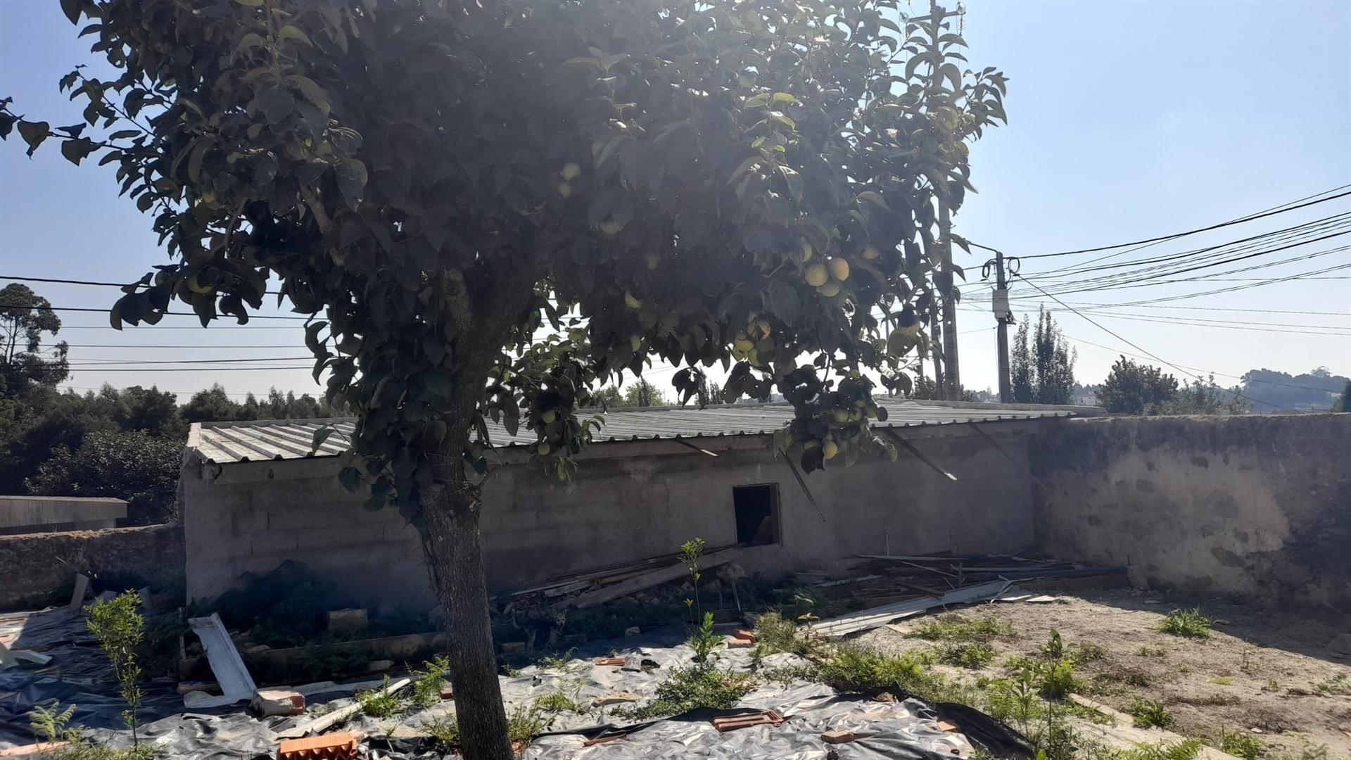 Moradia Térrea, em S. Paio de Oleiros, concelho de Santa Maria da Feira