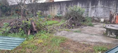 Terreno com Pinhal em Crestuma