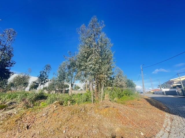 Terreno com 733m2, localizado próximo do Centro de Canelas!