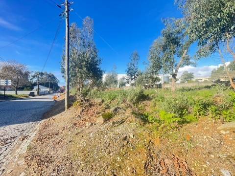 Terreno com 733m2, localizado próximo do Centro de Canelas!