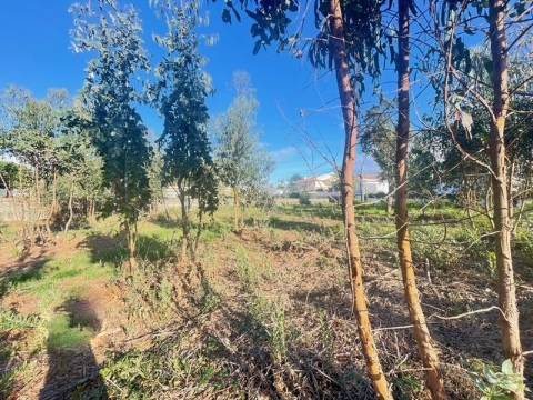 Terreno com 733m2, localizado próximo do Centro de Canelas!