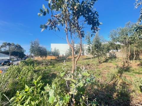 Terreno com 733m2, localizado próximo do Centro de Canelas!