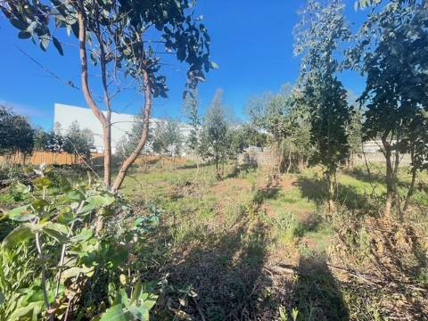 Terreno com 733m2, localizado próximo do Centro de Canelas!
