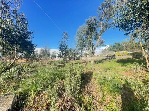 Terreno com 733m2, localizado próximo do Centro de Canelas!