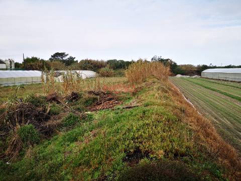 Terreno rustico Estela | NOVA Imobiliária