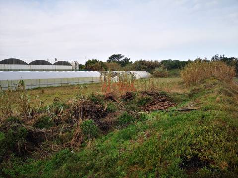 Terreno rustico Estela | NOVA Imobiliária