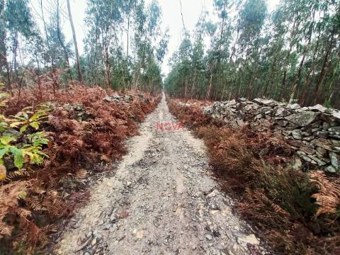 Terreno Rústico  Venda em Fornelo e Vairão,Vila do Conde