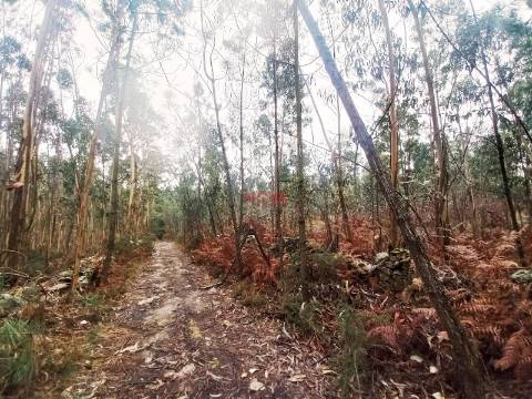 Terreno Rústico  Venda em Fornelo e Vairão,Vila do Conde