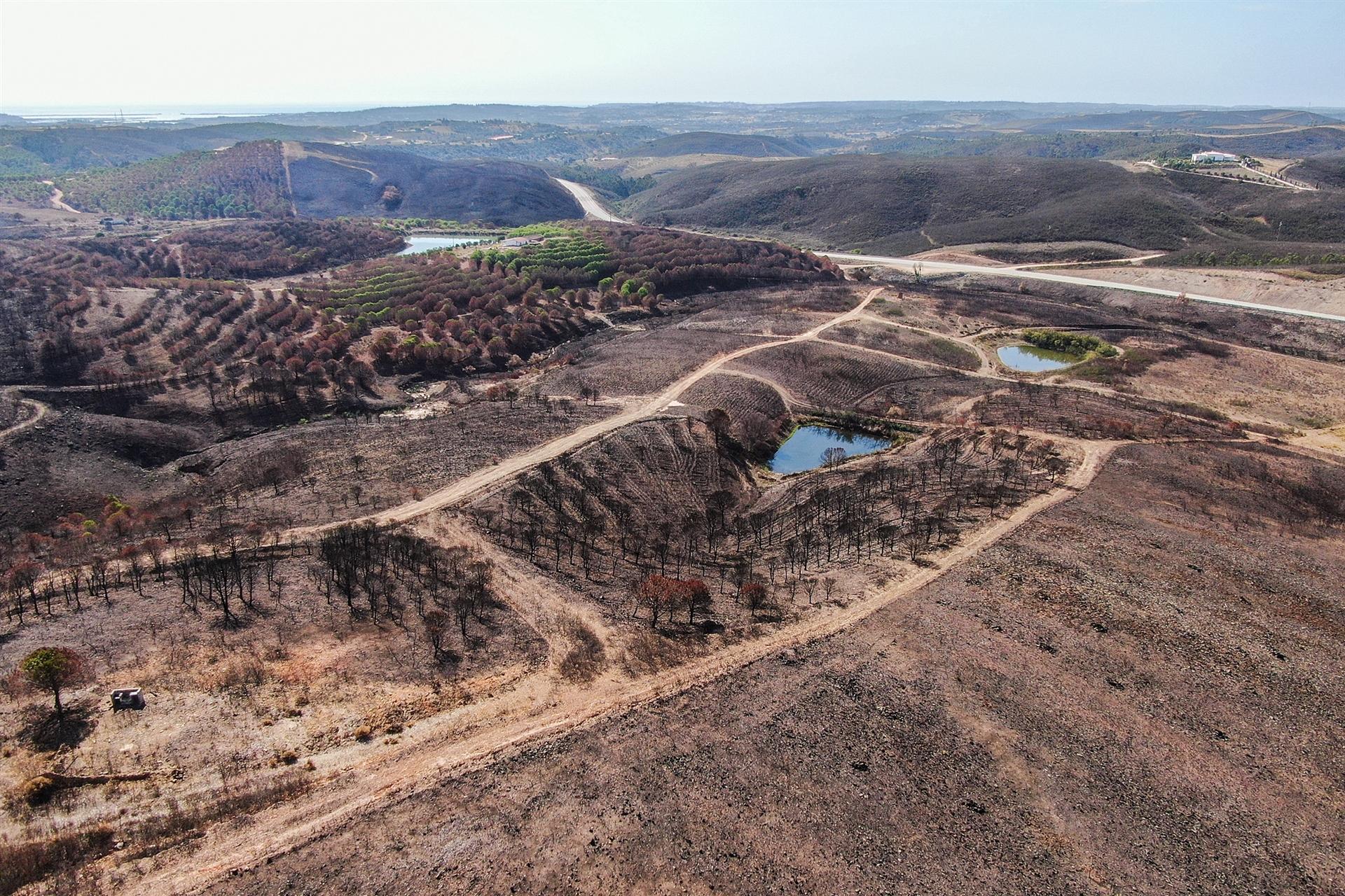 Terreno, Almarjões, Mexilhoeira Grande, Portimão