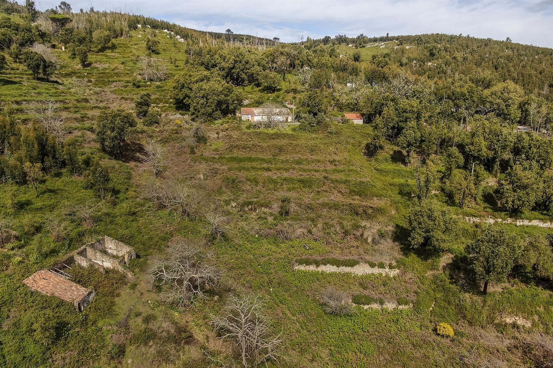 Terreno com Ruína, Monchique, Algarve