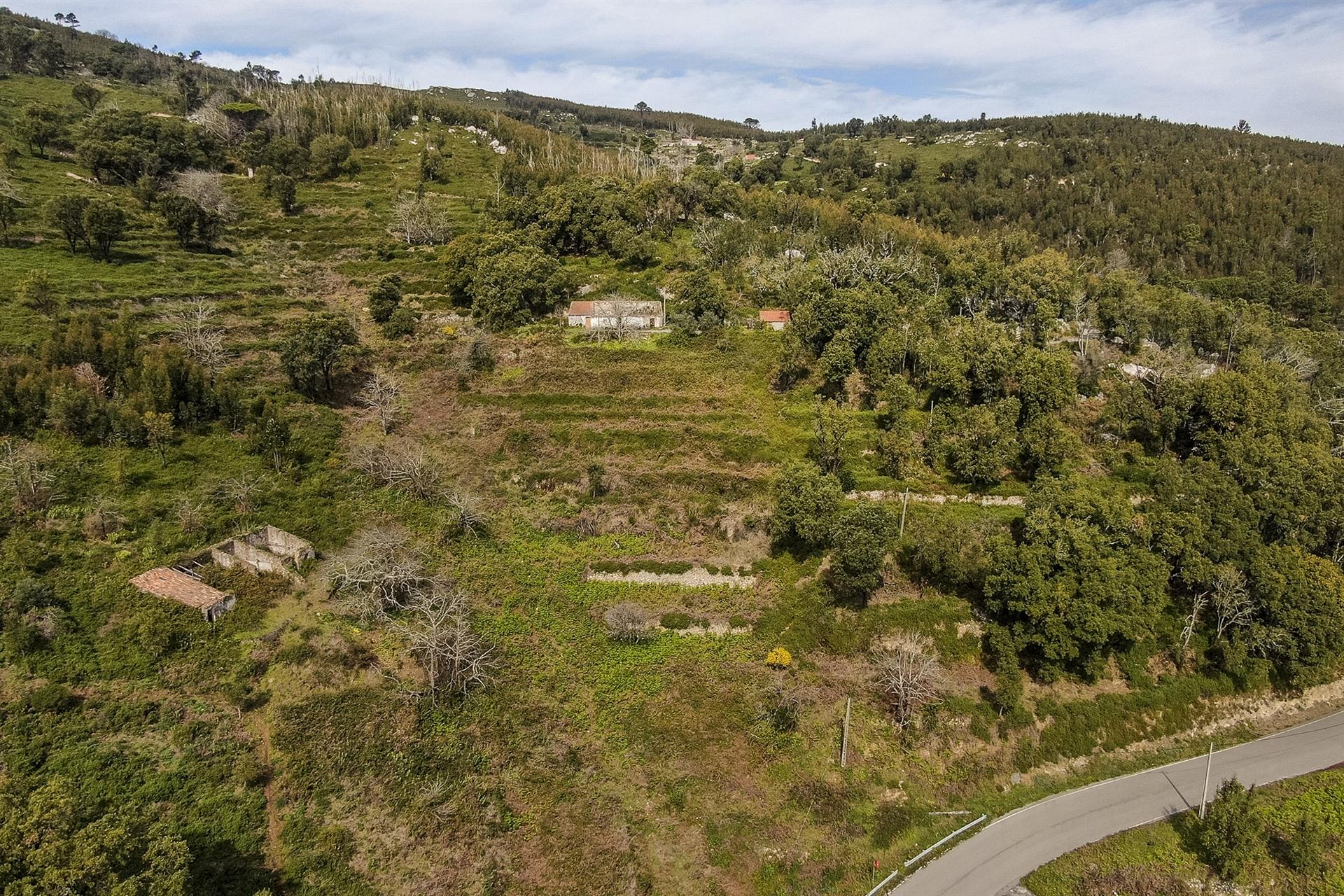 Terreno com Ruína, Monchique, Algarve