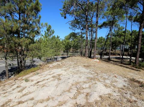 Lote de Terreno Urbano em Tróia