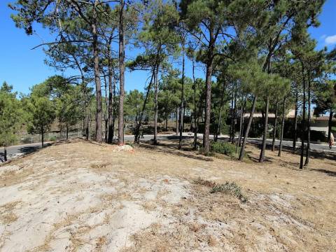 Lote de Terreno Urbano em Tróia