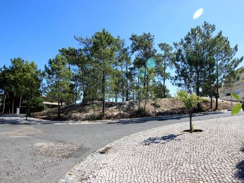Lote de Terreno Urbano em Tróia