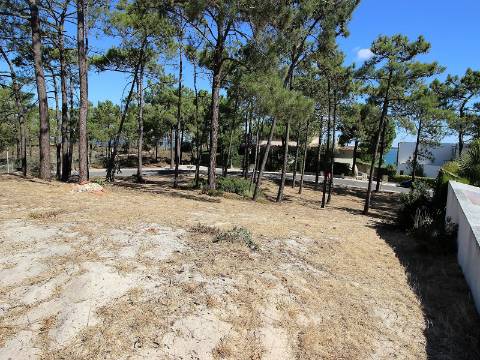 Lote de Terreno Urbano em Tróia