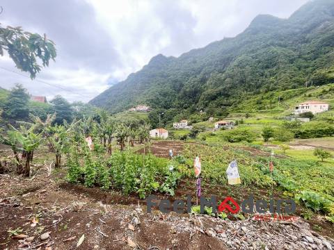 Terreno Rústico  Venda em Boa Ventura,São Vicente