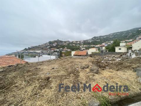Terreno Misto T1 Venda em Ribeira Brava,Ribeira Brava