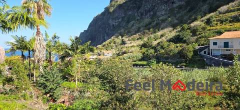 Moradia T4 Venda em Ponta Delgada,São Vicente