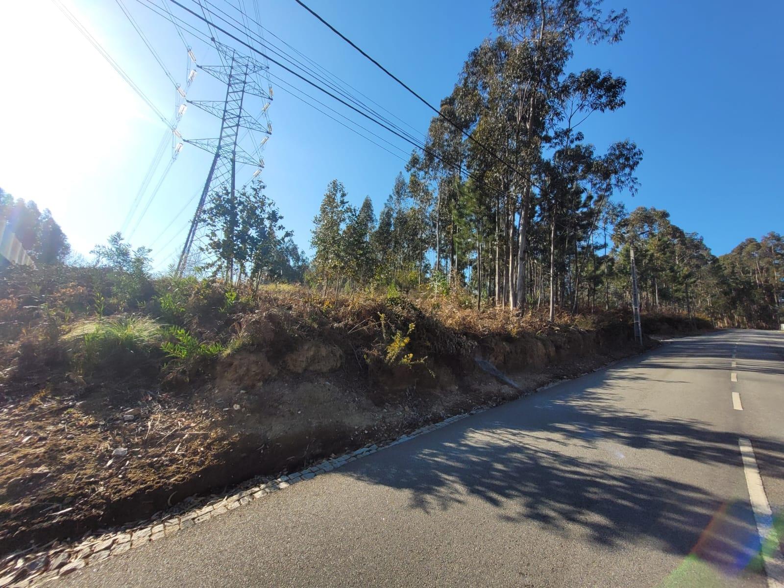 Lote de Terreno p/ construção com uma área total de 7.500 m² em Sandim